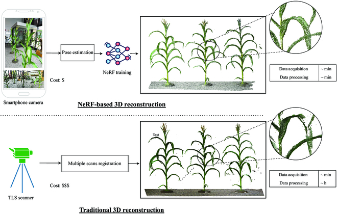 NeRF Plant Phenomics
